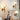 wandlamp glas, wandlamp woonkamer, wandlamp slaapkamer, moderne wandlamp, wandlamp goud, wandlamp, wandlamp zonder snoer, wandlamp zwart