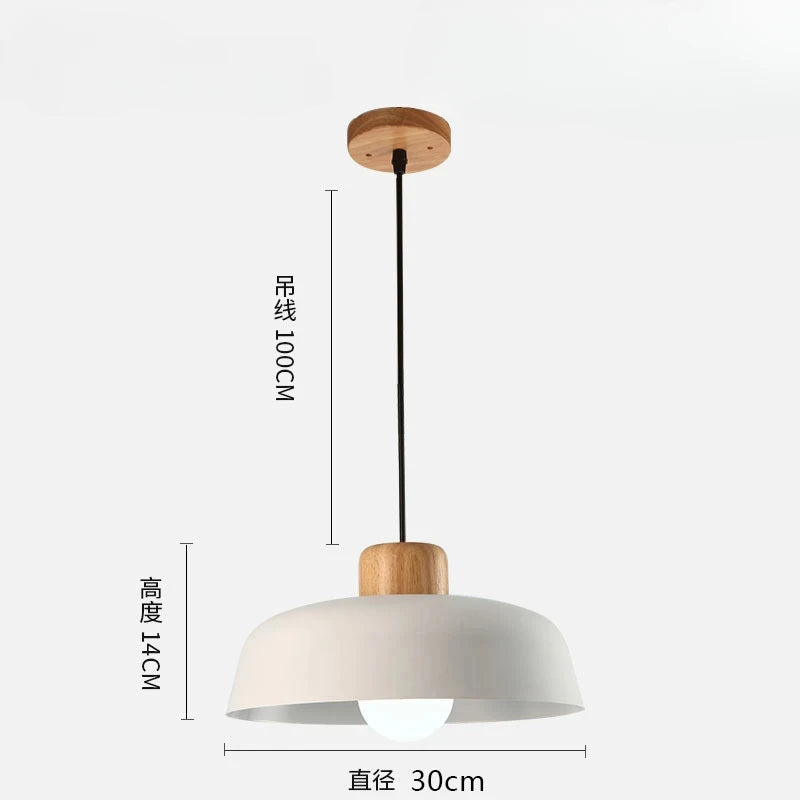 Scandinavische hanglamp in meerdere kleuren | Fårverig