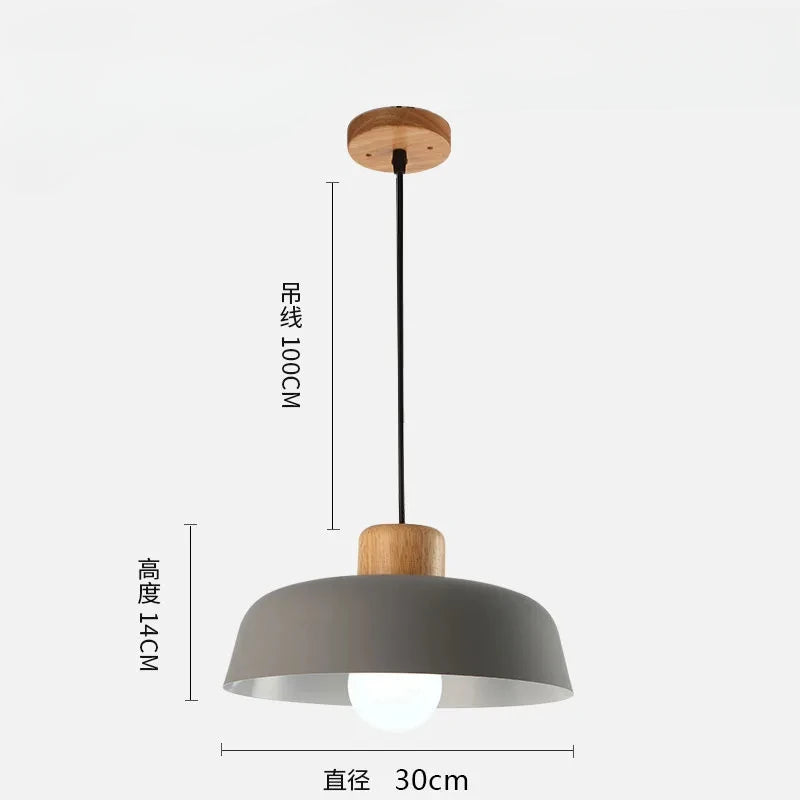 Scandinavische hanglamp in meerdere kleuren | Fårverig