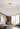 plafondlamp goud, plafondlamp design, plafondlamp modern, plafondlamp woonkamer, plafondlamp dimbaar