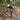 grondspots, spots zwart, buitenverlichting spots, moderne spots, grondspots tuin

