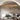 plafondlamp rattan, plafondlamp design, plafondlamp ufo, plafondlamp hout, plafondlamp modern

