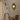 Wabi Sabi wandlamp, wandlamp landelijk, wandlamp woonkamer, wandlamp slaapkamer, moderne wandlamp, wandlamp, wandlamp zonder snoer, wandlamp badkamer, wandlamp, wandlamp zwart