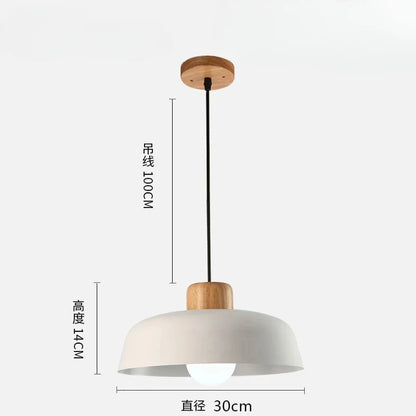 Scandinavische hanglamp in meerdere kleuren | Fårverig