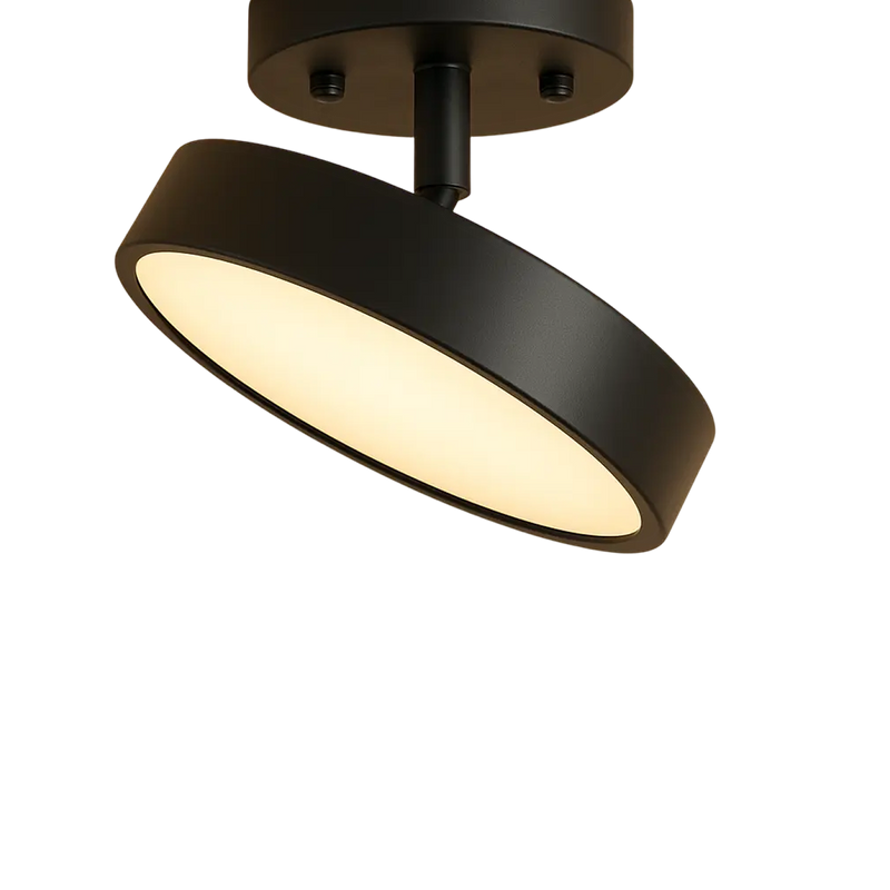 Plafondlampen