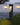 staande buitenlamp, moderne staande buitenlamp, moderne staande buitenlamp zwart, staande buitenlamp zwart, solar staande buitenlamp, tuinverlichting op zonne energie, tuinverlichting paal, tuinverlichting led
