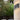 wandlamp zwart, wandlamp wit, wandlamp grijs, wandlamp modern, wandlamp design

